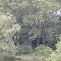 P8082532
