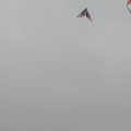 P6060280