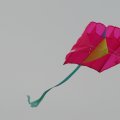 P6060317